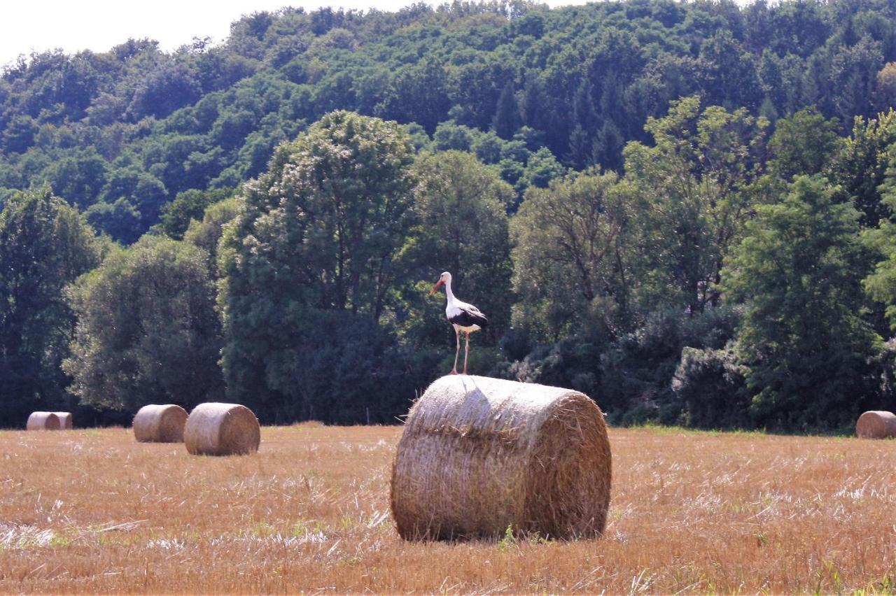 Naturpark Vendeghaz Alsoszolnok Buitenkant foto